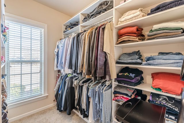 walk in closet with light colored carpet