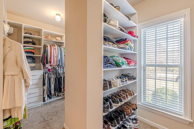 spacious closet with light carpet