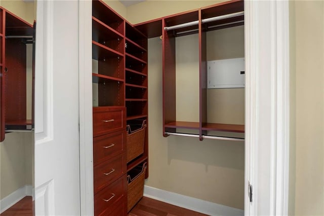 walk in closet with dark wood-style flooring