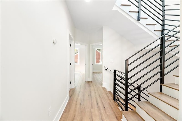 stairs with hardwood / wood-style floors