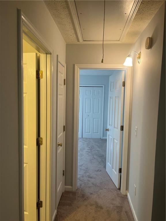 hallway featuring attic access, baseboards, and carpet