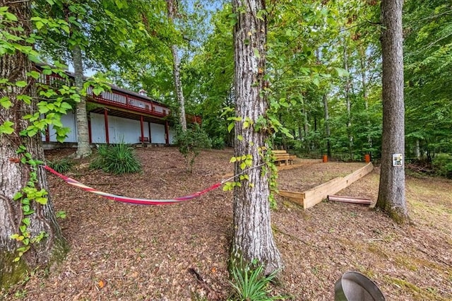 view of yard with a deck