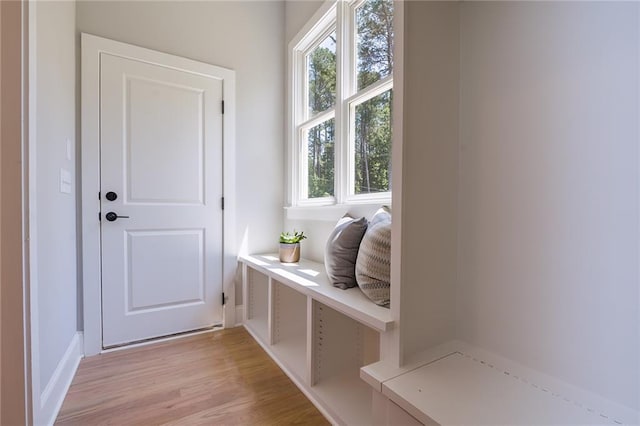 mudroom featuring light wood-style floors and plenty of natural light