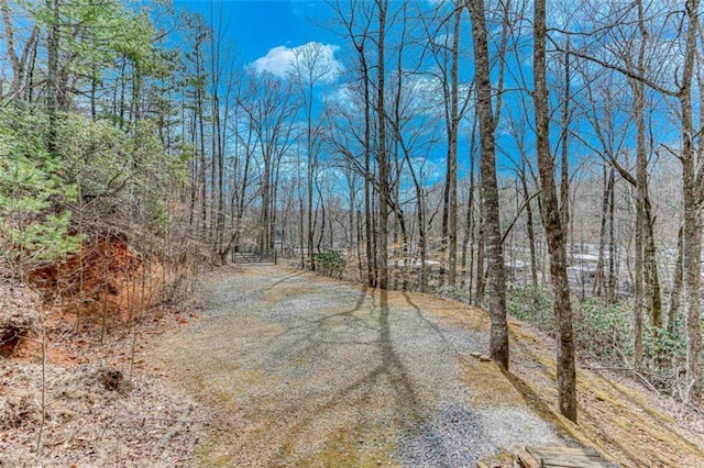 view of road featuring a forest view