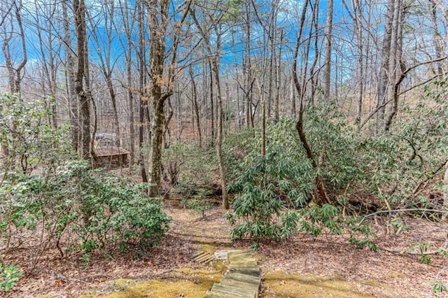 view of local wilderness featuring a view of trees