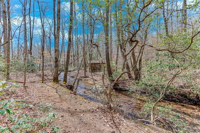 view of landscape with a wooded view