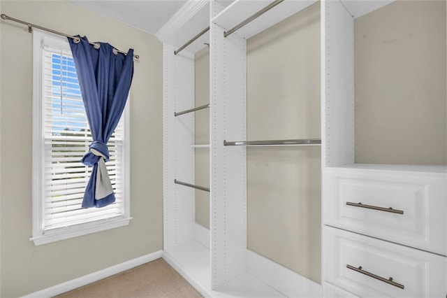 947 Summer Forest Dr, Suwanee, GA 30024 - walk in closet featuring light carpet