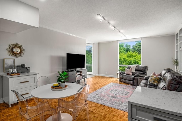 130 26th St NW Unit 415, Atlanta, GA 30309 - living area with a textured ceiling and track lighting