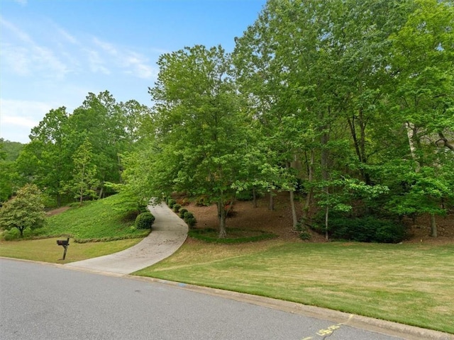 4515 N Slope Cir, Marietta, GA 30066 - surrounding community featuring a yard