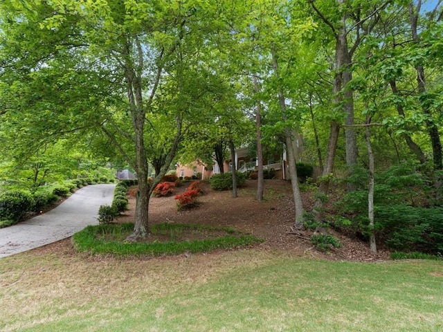 4515 N Slope Cir, Marietta, GA 30066 - view of yard