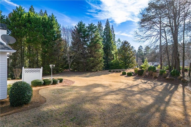 view of yard