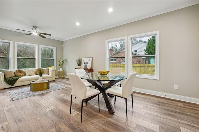 dining space featuring a ceiling fan, crown molding, plenty of natural light, and wood finished floors