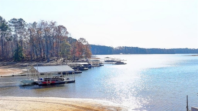 dock area with a water view