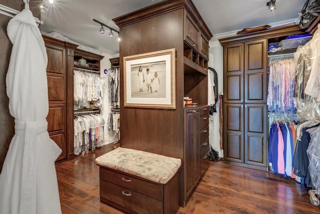 walk in closet with dark wood-type flooring