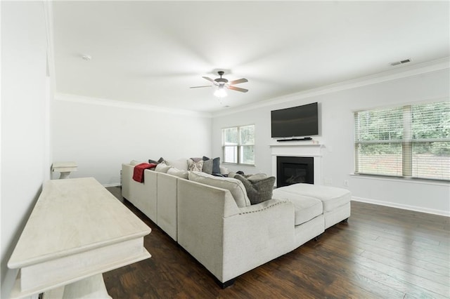 60 Copeland Trce, Dallas, GA 30157 - living area with a ceiling fan, crown molding, dark wood-type flooring, a glass covered fireplace, and baseboards