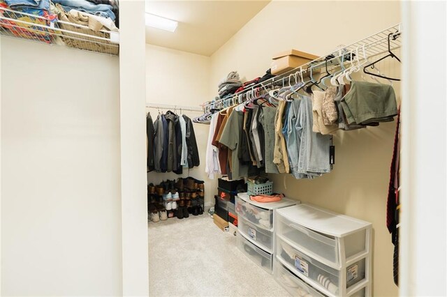 60 Copeland Trce, Dallas, GA 30157 - walk in closet with carpet floors
