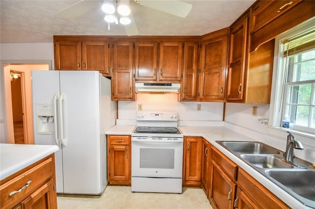 3223 Heritage Way, Buford, GA 30519 - kitchen with white appliances, a ceiling fan, under cabinet range hood, light countertops, and a textured ceiling