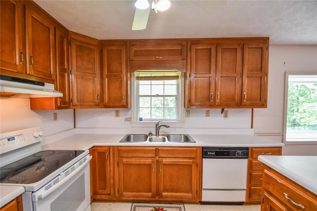 3223 Heritage Way, Buford, GA 30519 - kitchen featuring white appliances, under cabinet range hood, a sink, healthy amount of natural light, and a textured ceiling