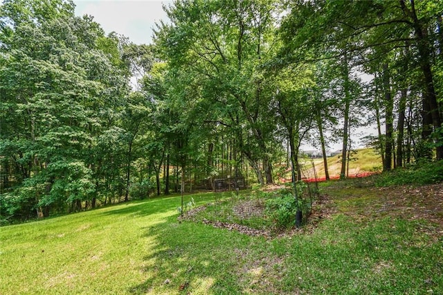 3223 Heritage Way, Buford, GA 30519 - view of green lawn
