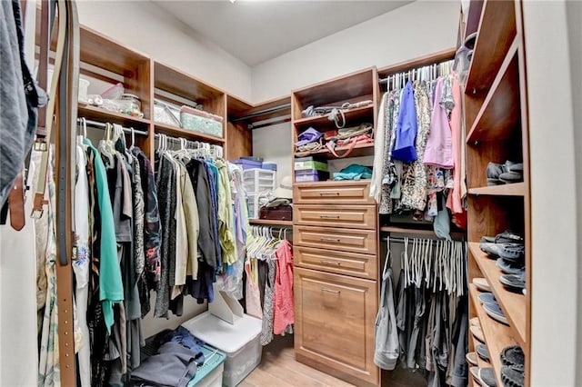 walk in closet with light wood-type flooring