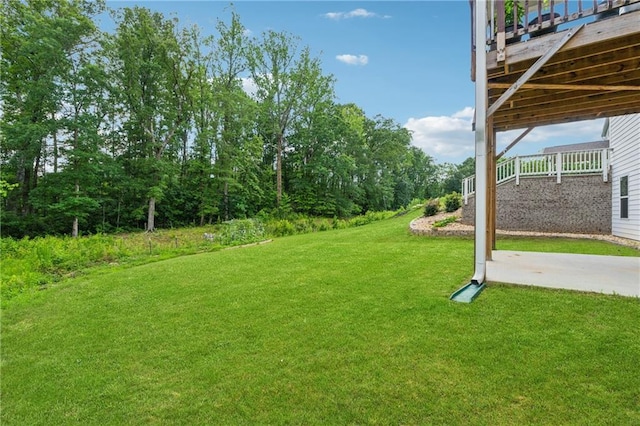 5545 Adirondack Dr, Cumming, GA 30040 - view of green lawn featuring a patio