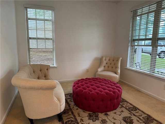 4037 Hill Station Ct, Sugar Hill, GA 30518 - sitting room with healthy amount of natural light, carpet flooring, and baseboards