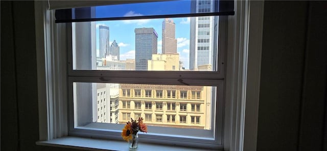 detailed view of a skyline view