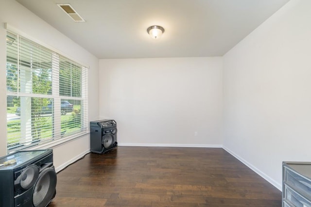 interior space featuring dark hardwood / wood-style flooring and a wealth of natural light