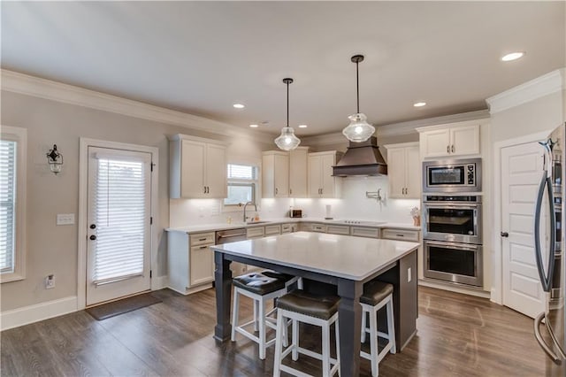 kitchen featuring white cabinetry, stainless steel appliances, a kitchen island, and premium range hood