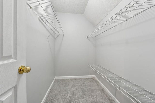 spacious closet with lofted ceiling and carpet floors