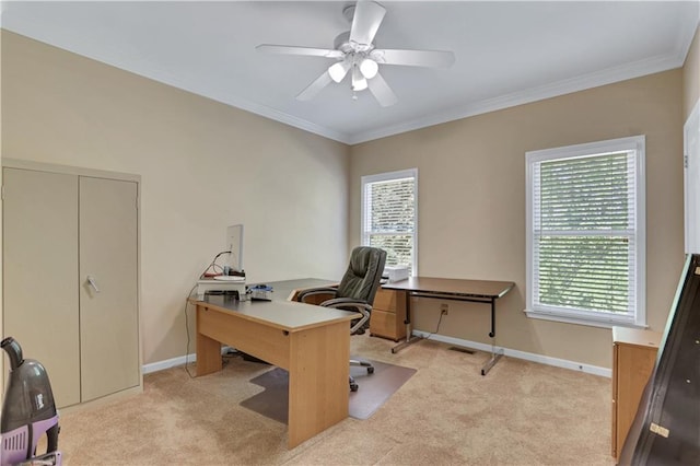 carpeted home office with ceiling fan and crown molding