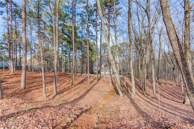 82 Cedar Blf, Winder, GA 30680 - view of yard