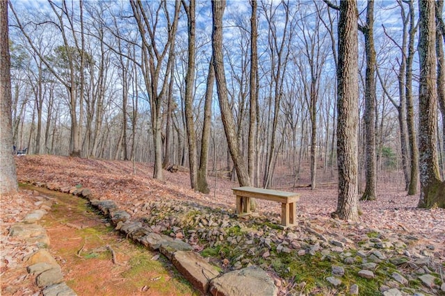82 Cedar Blf, Winder, GA 30680 - view of yard featuring a wooded view
