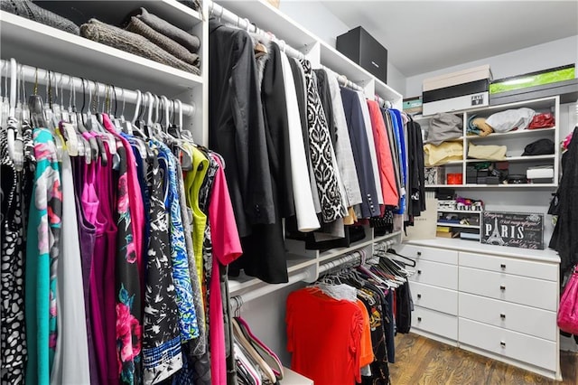 walk in closet featuring wood finished floors