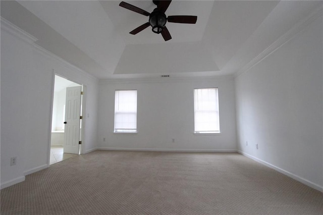 unfurnished room featuring a healthy amount of sunlight, a raised ceiling, and light colored carpet