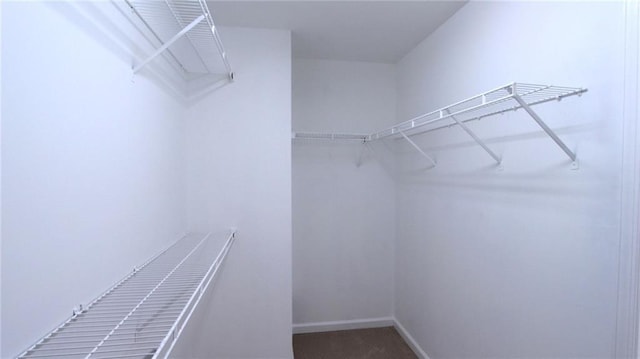 walk in closet featuring carpet flooring