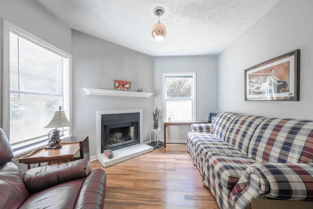 1279 Skyhaven Rd SE, Atlanta, GA 30316 - living area featuring wood finished floors, a textured ceiling, and a fireplace with raised hearth