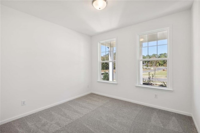 unfurnished room featuring carpet floors