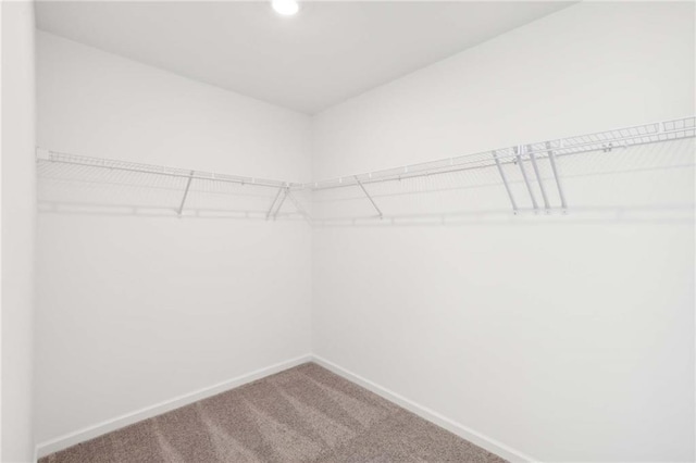 walk in closet featuring carpet