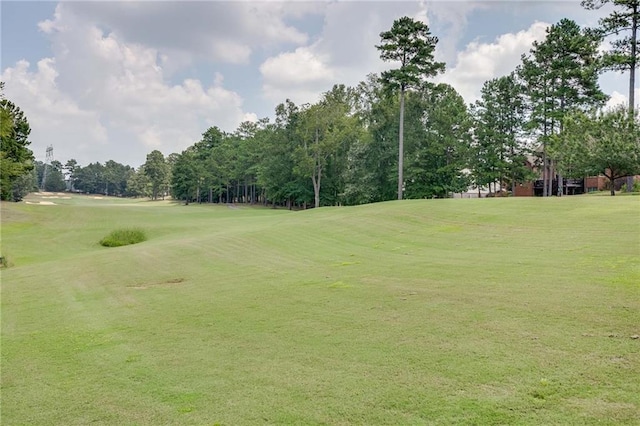 view of community featuring a lawn