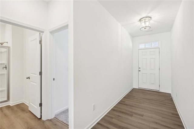 foyer entrance featuring dark hardwood / wood-style flooring