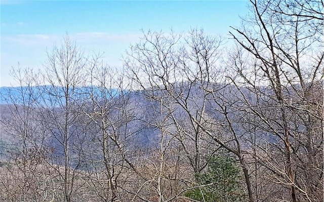 LOT2 Summit Pass, Chatsworth, GA 30705
