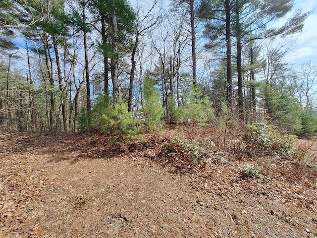 LOT2 Summit Pass, Chatsworth, GA 30705
