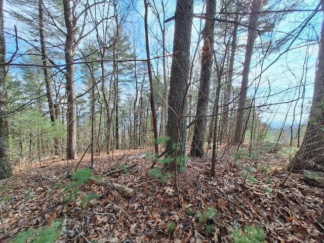 LOT2 Summit Pass, Chatsworth, GA 30705