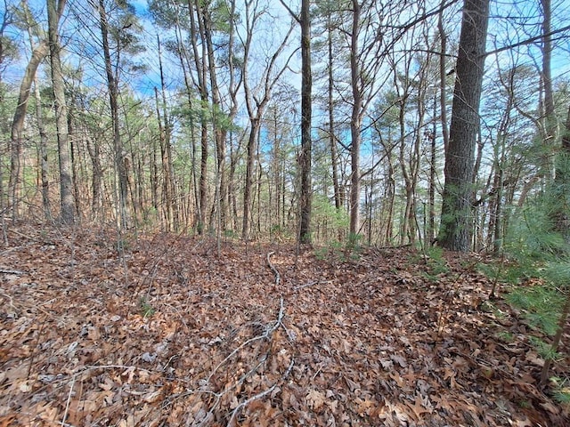 LOT2 Summit Pass, Chatsworth, GA 30705