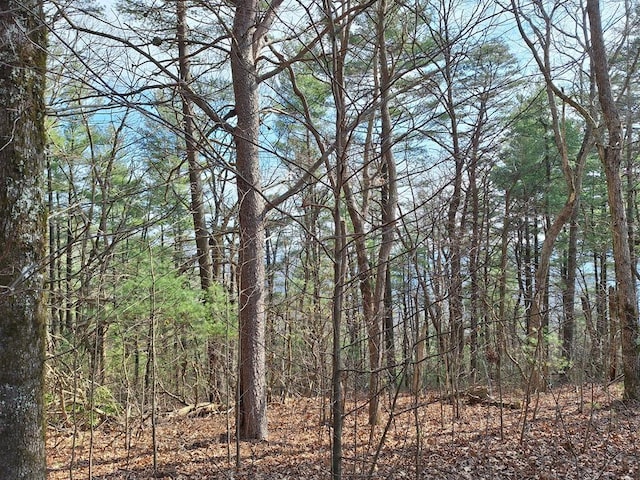 LOT2 Summit Pass, Chatsworth, GA 30705