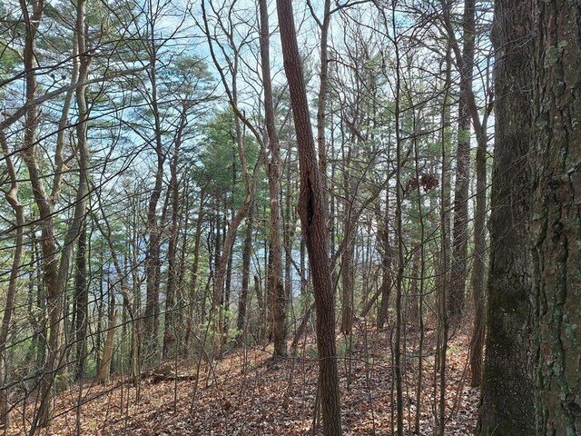 LOT2 Summit Pass, Chatsworth, GA 30705