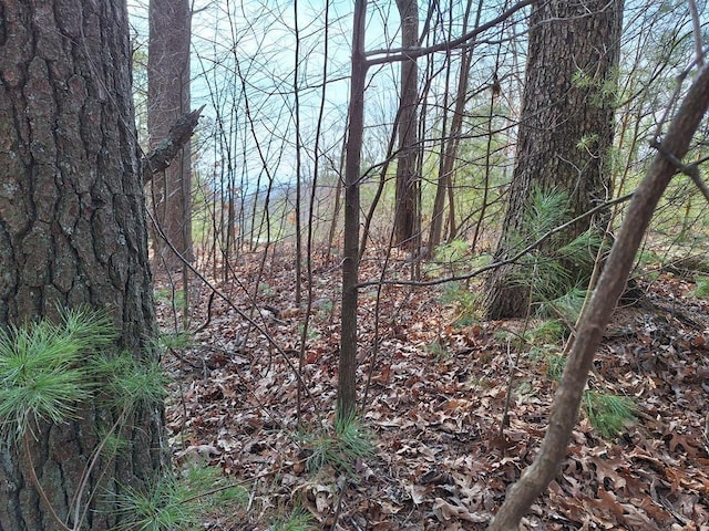 LOT2 Summit Pass, Chatsworth, GA 30705