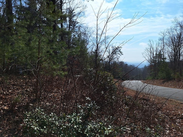 LOT2 Summit Pass, Chatsworth, GA 30705