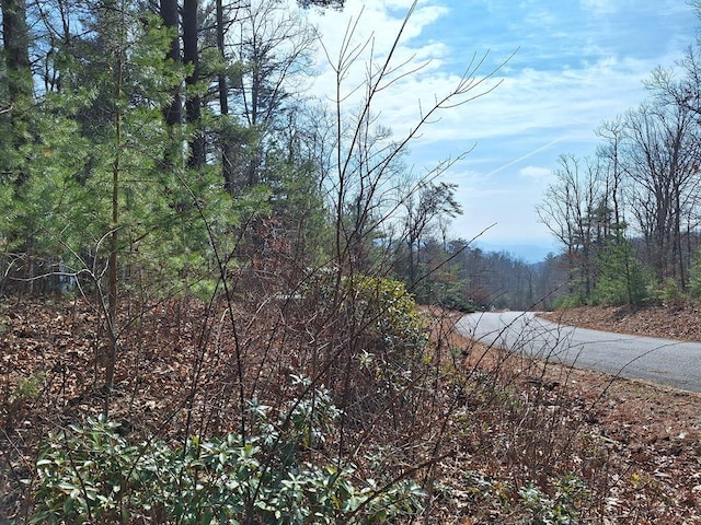 LOT2 Summit Pass, Chatsworth, GA 30705